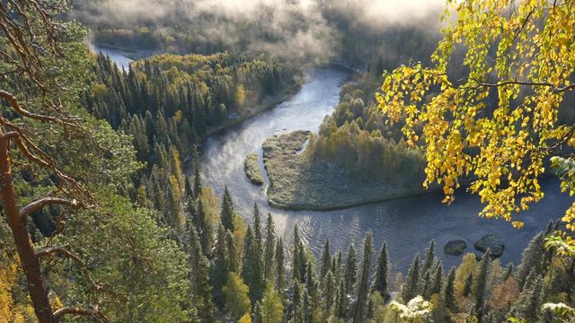 Autumn steadicam shot of Oulanka National park, Finland. Landscape with autumn trees, river and fog. UHD, 4K