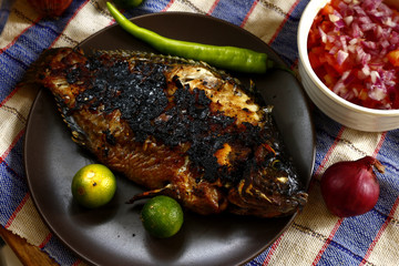 Freshly grilled tilapia fish