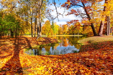 Fototapeta na wymiar Alexander park in autumn, Pushkin (Tsarskoe Selo), St. Petersburg, Russia