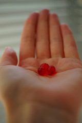 Red round vitamins in the female palm. Treatment or drugs use.