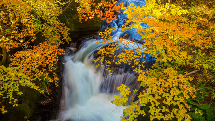 Fototapeta na wymiar Nikko is Nippon Ryuzu Waterfall with autumn colorful leaves