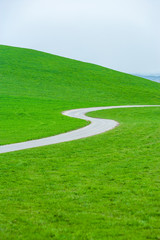 Obraz premium Kurvige Landstraße durch Wiesen