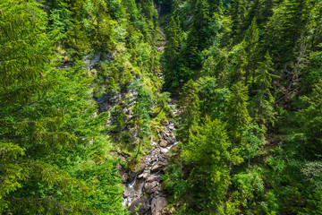 View from the suspension bridge in Leissingen on the Spissibach