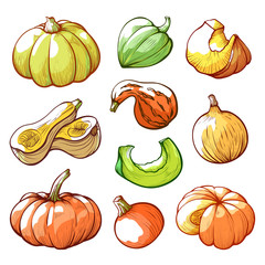 Sliced and whole pumpkins hand drawn vector illustrations set