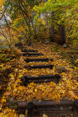 Walking trail to Ogimachi castle observation deck, Shirakawa-go in autumn/fall season 