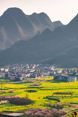 Rapeseed flower field and villages at Wanfenglin  National Geological Park (Forest of Ten Thousands Peaks), China