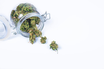 Fresh green buds or flowers of cannabis marijuana weed in opened glass jar isolated on white...