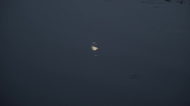 The moon is reflected in the calm water of the river at dusk
