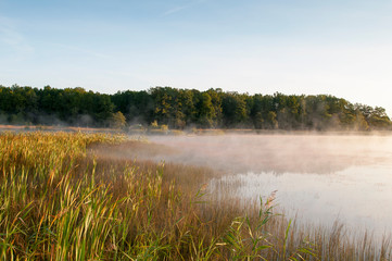 Beautiful panorama of autumn lake against the background of forest and sunny sky