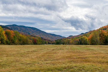 A photograph of a meadow with mountains and sky with clouds in the background