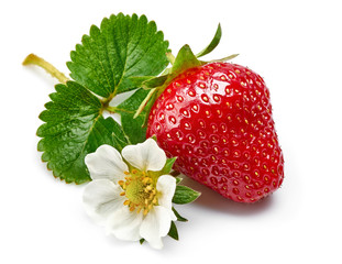 Strawberries with green leaf and flowers, isolated on white background.