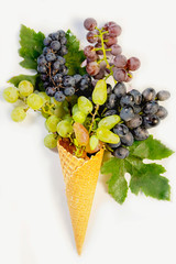 waffle cone with tassels of grapes of different varieties and colors. cornucopia harvest concept