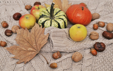 Autumn flat lay background. Pumpkins, apples, nuts,leaves, cups and sweater on wooden background.