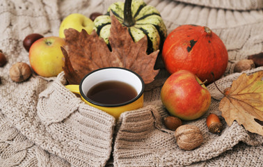 Autumn flat lay background. Pumpkins, apples, nuts,leaves, cups and sweater on wooden background.