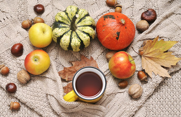 Autumn flat lay background. Pumpkins, apples, nuts,leaves, cups and sweater on wooden background.