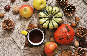 Autumn flat lay background. Pumpkins, apples, nuts,leaves, cups and sweater on wooden background.