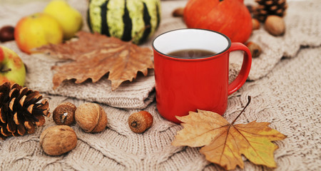 Autumn flat lay background. Pumpkins, apples, nuts,leaves, cups and sweater on wooden background.