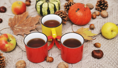 Autumn flat lay background. Pumpkins, apples, nuts,leaves, cups and sweater on wooden background.