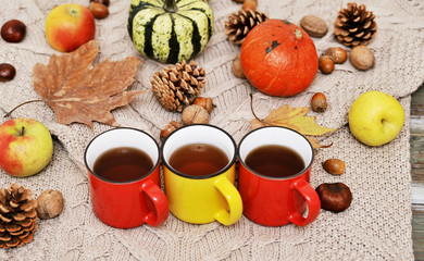 Autumn flat lay background. Pumpkins, apples, nuts,leaves, cups and sweater on wooden background.