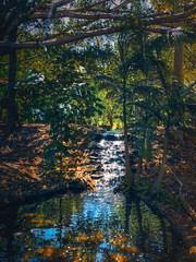Beautiful autumn scenery of the waterfall in the forest and fallen leaves in the water.