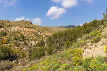 Fototapeta premium landscape of the Rambla de Hirmes area in Beninar (Spain)