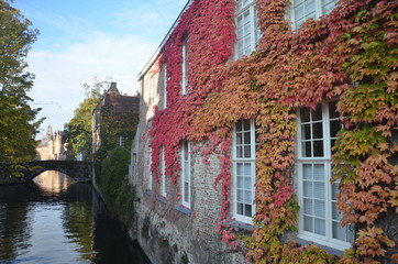 Fototapeta na wymiar Autumn in Bruges, Belgium. Bruges, the capital of West Flanders in northwest Belgium, is distinguished by its canals, cobbled streets and medieval buildings.