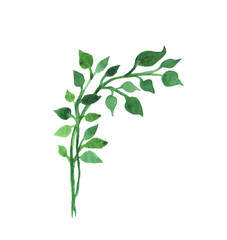 Watercolor hand painted element. Green leaf. Nature detail image for design projects.