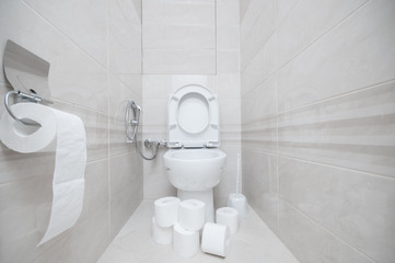 Toilet bowl in restroom and toilet papers