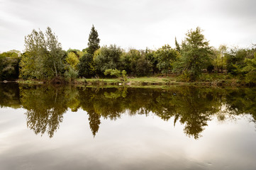 Bosque reflejado en el río Cosquín
