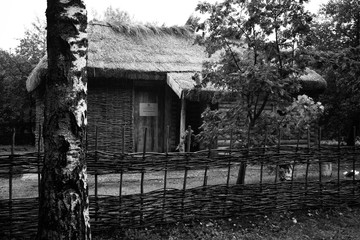 old house in the forest