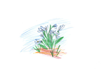 Spring flowers snowdrops. Hand drawn illustration