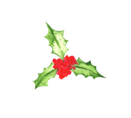 Christmas holly watercolor hand painted illustration.