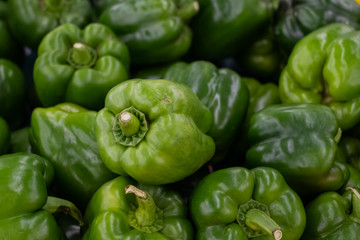 Fototapeta na wymiar Green bell peppers paprika, natural background