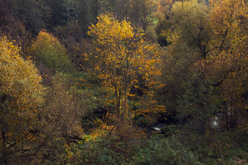 Fototapeta premium beautiful autumn landscape with small winding river
