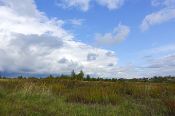 Summer landscape with green grass and clouds