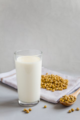 Soy milk in a glass and beans in a plate. The concept of healthy eating. Vegetarian food. Vegetable drink. Copy space, side view.