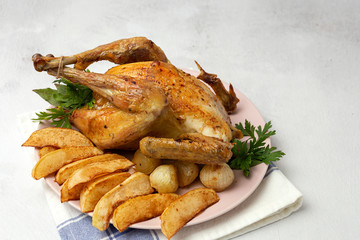 Appetizing roast chicken with garlic potatoes and onions