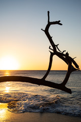 Coucher de soleil plage de la Perle Basse Terre Guadeloupe France