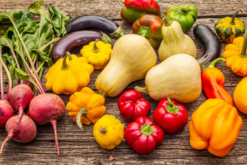 Autumn harvest vegetables. Set of beetroot, eggplant, pumpkin, pepper, zucchini, squash
