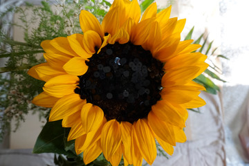 Detail of Sun flower and black sequins. Sequins arranged as the seeds of the sunflower.