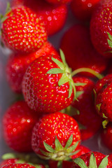 Close-up of ripe red strawberries