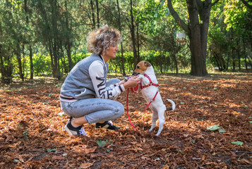 Fototapeta premium blonde curly female plays with jack russell dog in the autumn park on the orange leafes