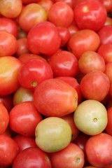 Fresh tomatoes for cooking in street food