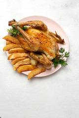 Appetizing roast chicken with garlic potatoes and onions