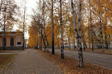urban autumn landscape, birch alley