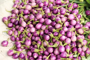 Fresh eggplant purple organic at street food