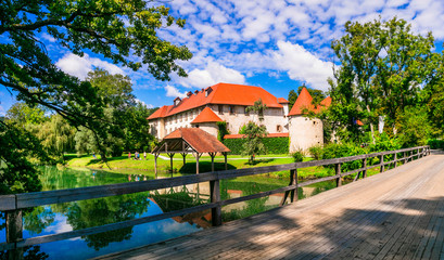 Fairy tale castle on the island medieval Grad Otocec in Krka river, Slovenia © Freesurf