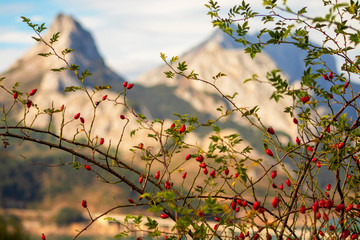 Paisajes