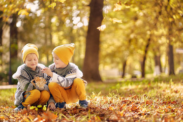 two children play in the autumn in the park. two brothers collect fallen leaves. copy space.