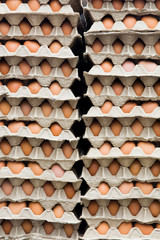 Fresh chicken eggs in a cardboard package